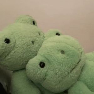 Meet your Posher, Allycat